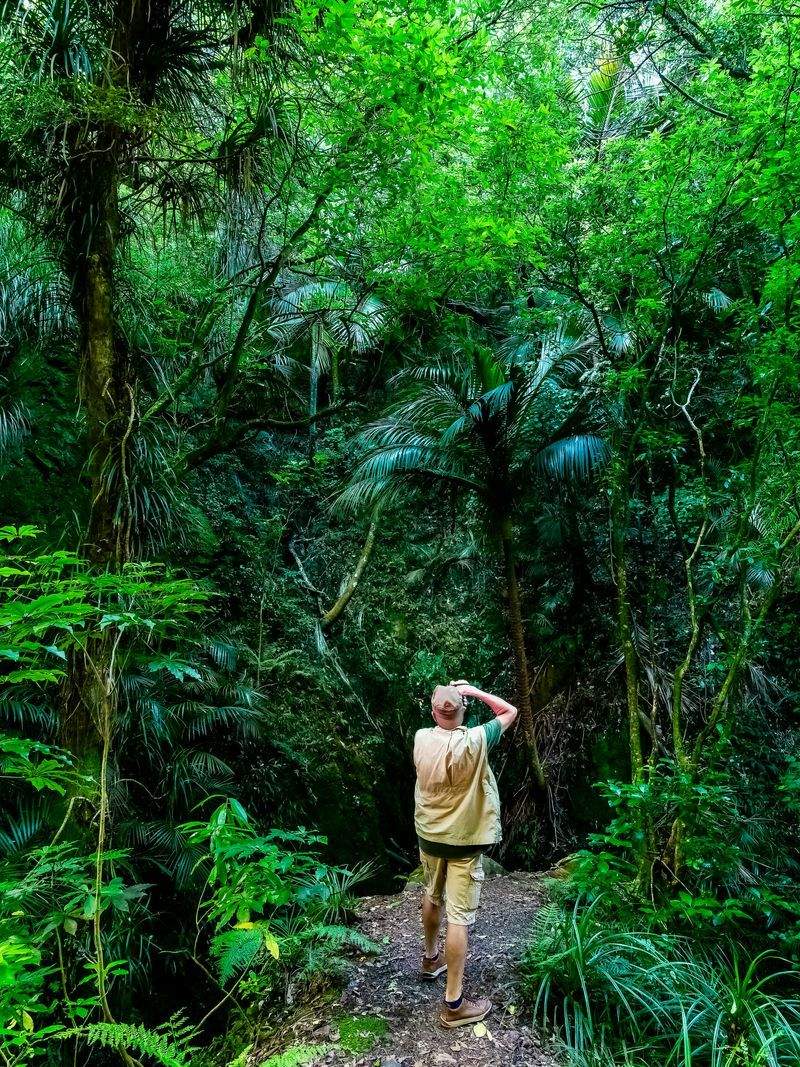 フラワーアレンジメント講座